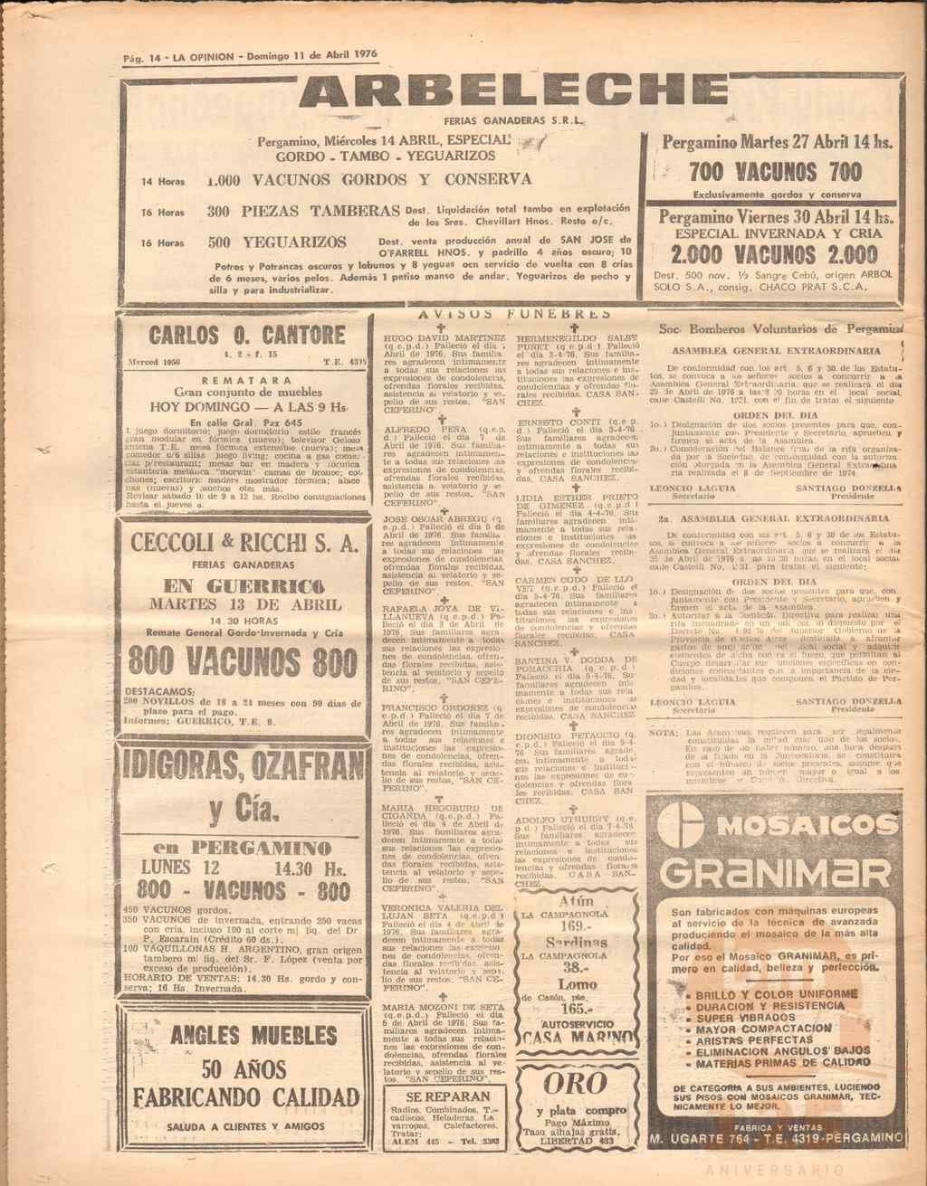 19123 (15)_ds.jpg